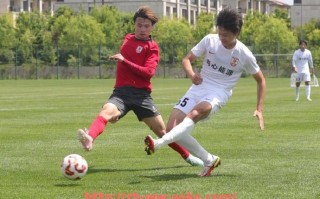 澳客足彩-德甲2014年升级球队名单回顾，当年升班马如今发展如何？